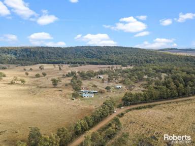 Farm For Sale - TAS - Levendale - 7120 - Country Haven  (Image 2)