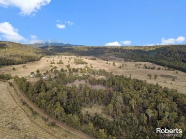 Farm For Sale - TAS - Levendale - 7120 - Country Haven  (Image 2)