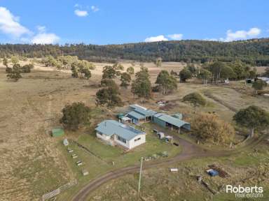 Farm For Sale - TAS - Levendale - 7120 - Country Haven  (Image 2)