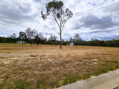 Farm Sold - QLD - Mareeba - 4880 - COUNTRY LIVING WITH SCENIC VIEWS  (Image 2)