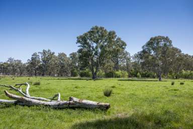 Farm For Sale - VIC - Benalla - 3672 - Small acreage for sale at Benalla's Doorstep  (Image 2)