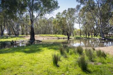 Farm For Sale - VIC - Benalla - 3672 - Small acreage for sale at Benalla's Doorstep  (Image 2)