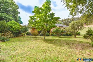Farm For Sale - VIC - Myrtleford - 3737 - 19 Acres with 4 Bedroom Home  (Image 2)