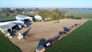Farm For Sale - NSW - Narromine - 2821 - Lifestyle With Irrigation  (Image 2)