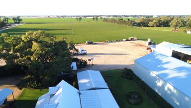 Farm For Sale - NSW - Narromine - 2821 - Lifestyle With Irrigation  (Image 2)