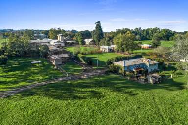 Farm Auction - NSW - Grose Wold - 2753 - Ideal Horse Haven or Idyllic Retreat with River Frontage  (Image 2)