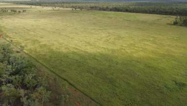 Farm For Sale - NT - Katherine - 0850 - Expansive 67-Hectare Farm with Business Potential and Modern Amenities  (Image 2)