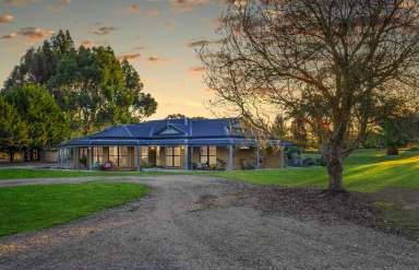 Farm For Sale - VIC - Cobden - 3266 - Entertainment Haven Awaits  (Image 2)