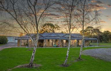 Farm For Sale - VIC - Cobden - 3266 - Entertainment Haven Awaits  (Image 2)