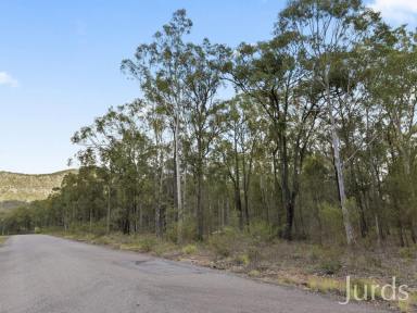 Farm For Sale - NSW - Pokolbin - 2320 - 42 ACRE BUSHLAND HAVEN WITH DA APPROVAL IN WINE COUNTRY  (Image 2)