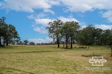 Farm Auction - NSW - Glen Innes - 2370 - 'Millencourt'  (Image 2)