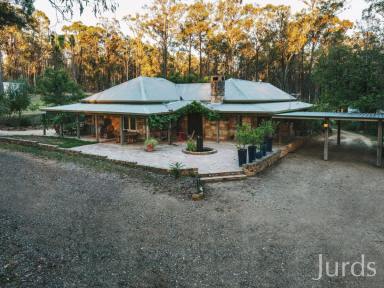Farm For Sale - NSW - Pokolbin - 2320 - STONE SOLID INVESTMENT IN HUNTER VALLEY WINE COUNTRY  (Image 2)