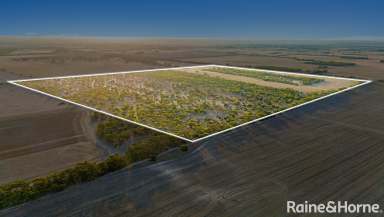 Farm Sold - SA - Milang - 5256 - Innovate or get creative on 110 vacant acres of semi-rural, off-grid potential.  (Image 2)