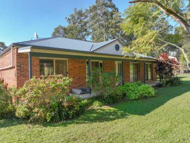 Farm For Sale - NSW - Lansdowne - 2430 - Immaculate small acreage property  (Image 2)