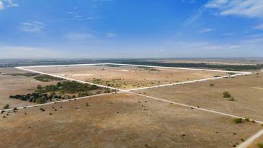 Farm For Sale - SA - Tailem Bend - 5260 - Wide-lens potential: tap out of town for something visionary on 2 unique titles of 151.7ha  (Image 2)