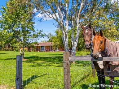 Farm For Sale - NSW - Croobyar - 2539 - 80 Acres of fertile farmland on Croobyar!  (Image 2)