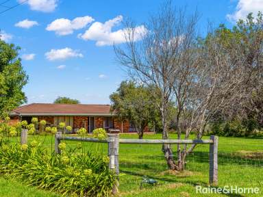 Farm For Sale - NSW - Croobyar - 2539 - 80 Acres of fertile farmland on Croobyar!  (Image 2)