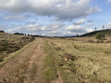 Farm For Sale - TAS - Nietta - 7315 - Grazing and/or Forestry  (Image 2)