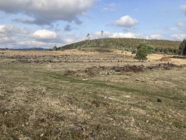 Farm For Sale - TAS - Nietta - 7315 - Grazing and/or Forestry  (Image 2)