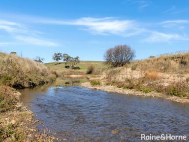 Farm For Sale - NSW - The Lagoon - 2795 - "BERTHILDA" - 115 ACRES ALONG THE CAMPBELLS RIVER  (Image 2)