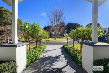 Farm For Sale - TAS - Barrington - 7306 - STUNNING LIFESTYLE PROPERTY | TRANQUIL POSITION  (Image 2)