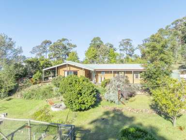 Farm For Sale - NSW - Kalaru - 2550 - NATURE LOVERS  (Image 2)