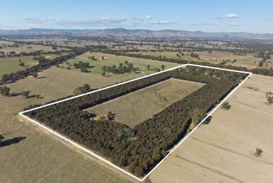 Farm For Sale - VIC - Violet Town - 3669 - An Expertly Executed Renovation in Tranquil Tamleugh  (Image 2)