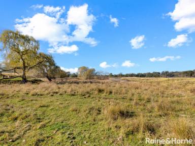 Farm For Sale - NSW - Wattle Flat - 2795 - PICTURESQUE 8.7-ACRE PARCEL  (Image 2)