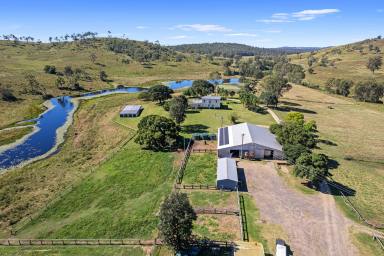Farm Auction - QLD - Woolooga - 4570 - 'Brooyar Station' 2771 acres in 11 freehold titles   (Image 2)