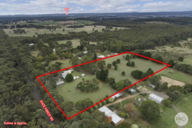 Farm For Sale - VIC - Ross Creek - 3351 - In A State Forest Of Bliss: Welcome To Your New Home  (Image 2)