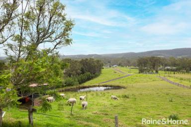 Farm For Sale - NSW - Conjola - 2539 - Idyllic Country Lifetsyle  (Image 2)