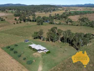 Farm For Sale - QLD - Curra - 4570 - High production without the overheads of a big property  (Image 2)