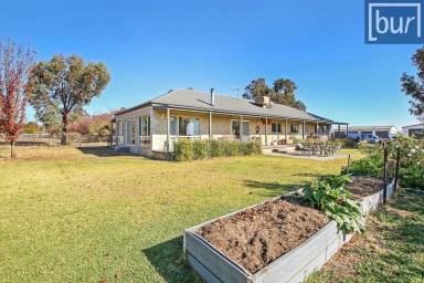 Farm Auction - NSW - Jindera - 2642 - “Aroona”- Your Ideal Rural Lifestyle Retreat  (Image 2)