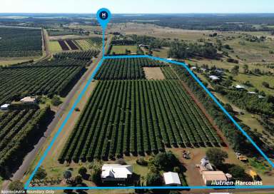 Farm For Sale - QLD - North Isis - 4660 - ELEGANCE - LIFESTYLE - INCOME - STUNNING  (Image 2)