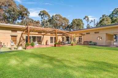 Farm For Sale - VIC - Heathcote - 3523 - TREAD LIGHTLY WITH SUSTAINABLE LIVING  (Image 2)