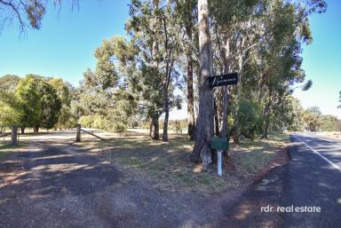 Farm For Sale - NSW - Inverell - 2360 - LAID BACK LIVING AT "NGAMMA"  (Image 2)