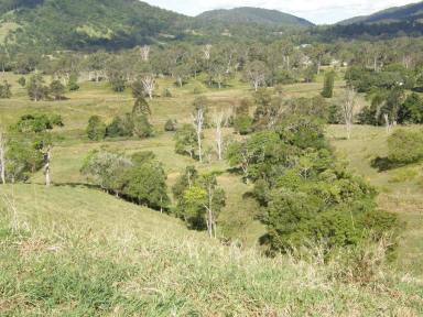 Farm For Sale - QLD - Eerwah Vale - 4562 - EUMUNDI RURAL  (Image 2)