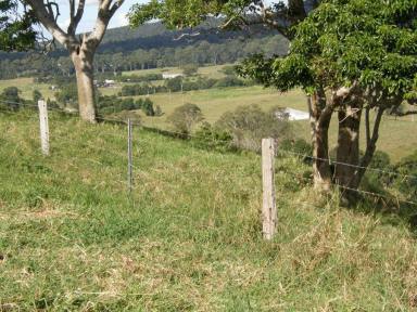 Farm For Sale - QLD - Eerwah Vale - 4562 - EUMUNDI RURAL  (Image 2)