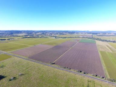 Farm For Sale - NSW - Ruthven - 2480 - CROPPING COUNTRY  (Image 2)
