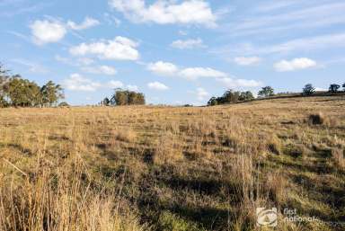 Farm Sold - NSW - Rylstone - 2849 - ACRES OF FUN & POTENTIAL  (Image 2)