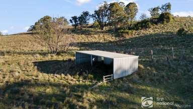 Farm Sold - NSW - Rylstone - 2849 - ACRES OF FUN & POTENTIAL  (Image 2)