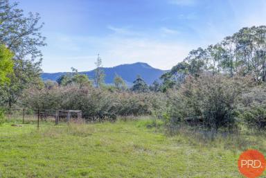 Farm For Sale - NSW - Broke - 2330 - ESCAPE TO THE COUNTRYSIDE  (Image 2)