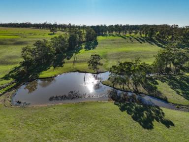 Farm For Sale - VIC - Irrewillipe - 3249 - STUNNING COLAC – OTWAY DISTRICT COUNTRY  (Image 2)