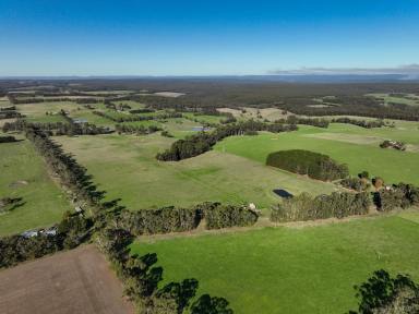 Farm For Sale - VIC - Irrewillipe - 3249 - STUNNING COLAC – OTWAY DISTRICT COUNTRY  (Image 2)