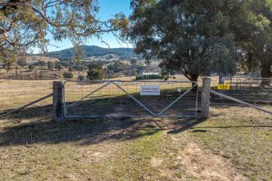 Farm For Sale - NSW - Peelwood - 2583 - "SMITHLEE FARM RETREAT"  (Image 2)