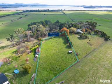 Farm For Sale - TAS - Rowella - 7270 - Build the home of your dreams  (Image 2)