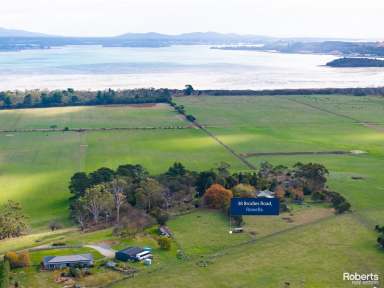 Farm For Sale - TAS - Rowella - 7270 - Build the home of your dreams  (Image 2)