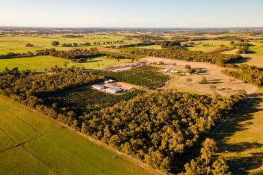 Farm For Sale - WA - Chapman Hill - 6280 - Exceptional Mixed Use Property  (Image 2)