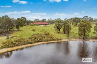 Farm For Sale - VIC - Eppalock - 3551 - A Charmed Country Lifestyle Awaits on 21.70 Acres / 8.78 Hectares  (Image 2)