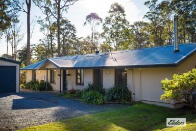 Farm For Sale - NSW - Kalaru - 2550 - Man Sized Shedding, Beautiful Home  (Image 2)